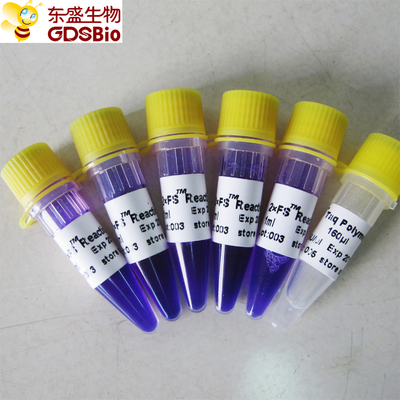 Набор PCR смешивания PCR FS мастерский для обнаружения P3072 1ml×5 РИБОНУКЛЕИНОВОЙ КИСЛОТЫ ДНК нуклеинового кисловочного