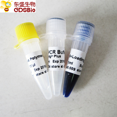 Голубой буфер Taq плюс полимераза ДНК для PCR P1031 P1032 P1033 P1034