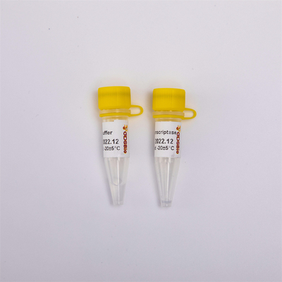 обратный Transcriptase R3001 2000U R3002 10000U золота PCR Rt cDNA
